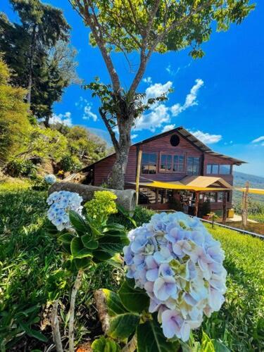 Casa 1800 Los Naranjos Boutique Hotel Екстериор снимка