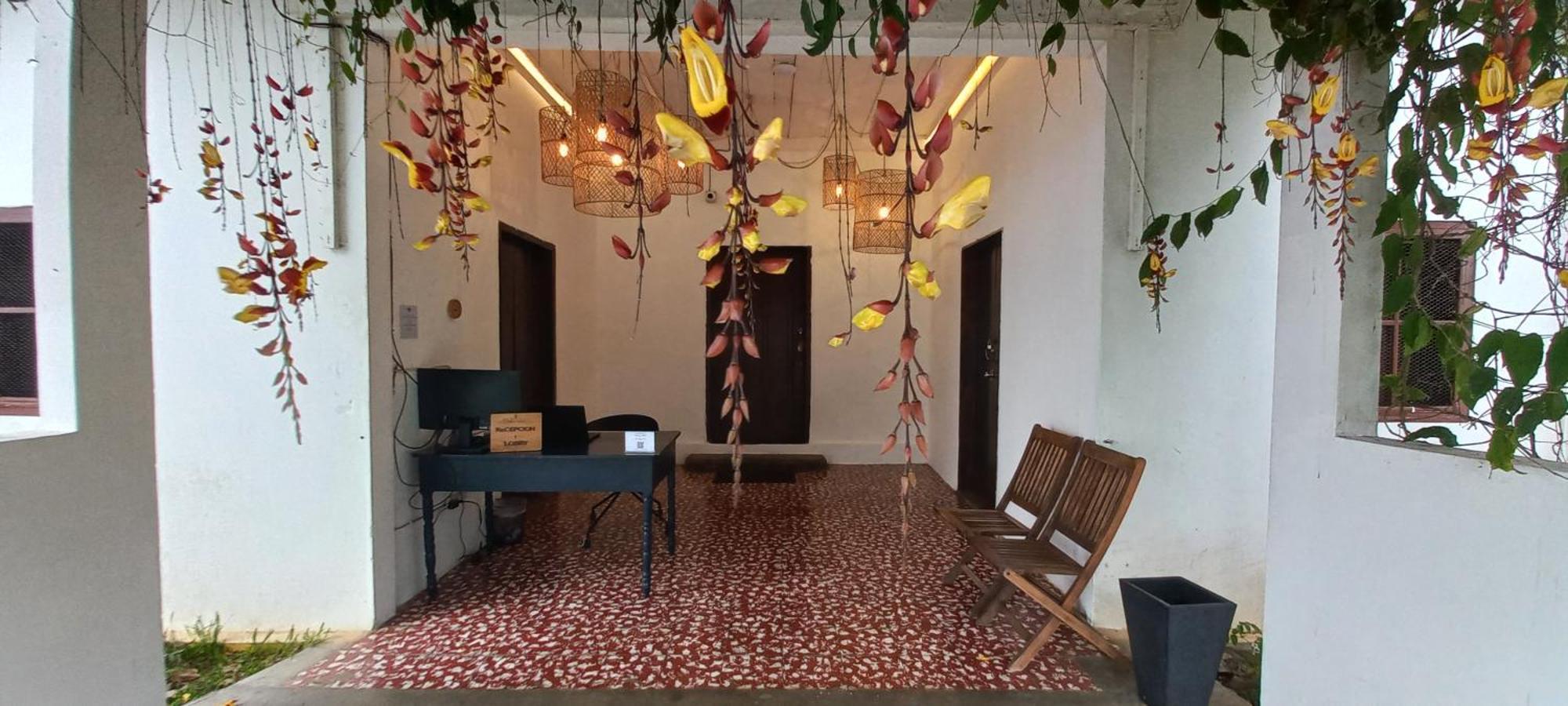 Casa 1800 Los Naranjos Boutique Hotel Екстериор снимка